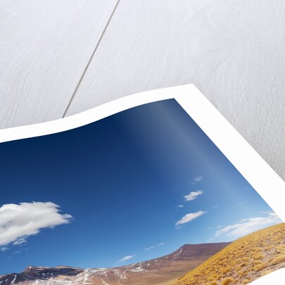 Desert lagoon, San Pedro de Atacama, Antofagasta Region, Chile by Anonymous