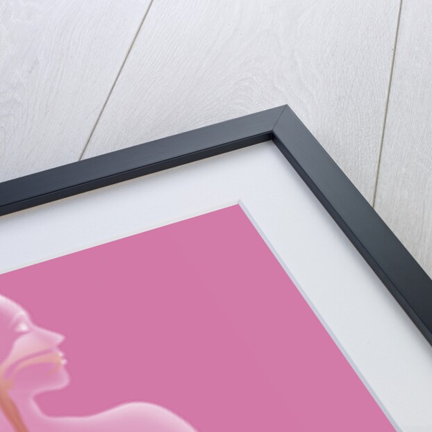 Digestive system, illustration by Anonymous