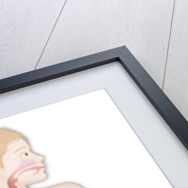 Digestive system, illustration by Anonymous