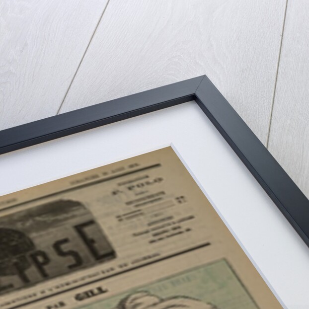 Victor Hugo by Anonymous