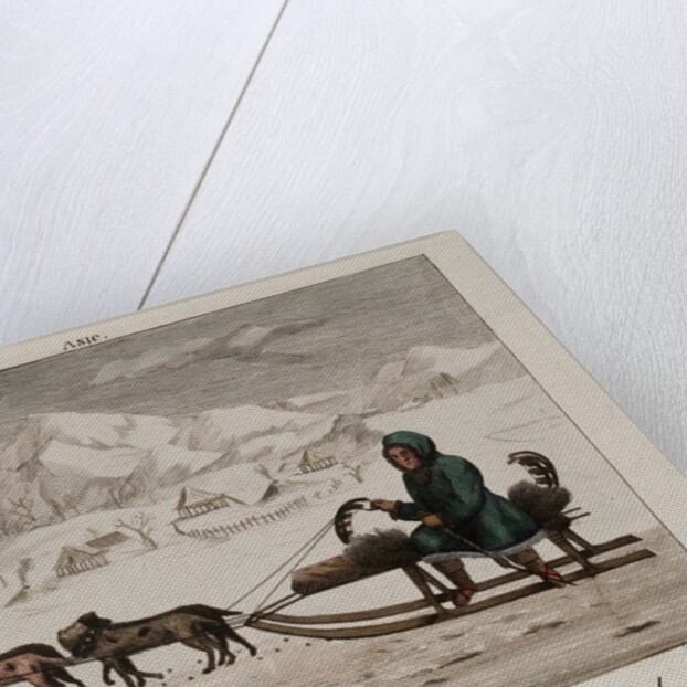 A sled in Siberia by Anonymous