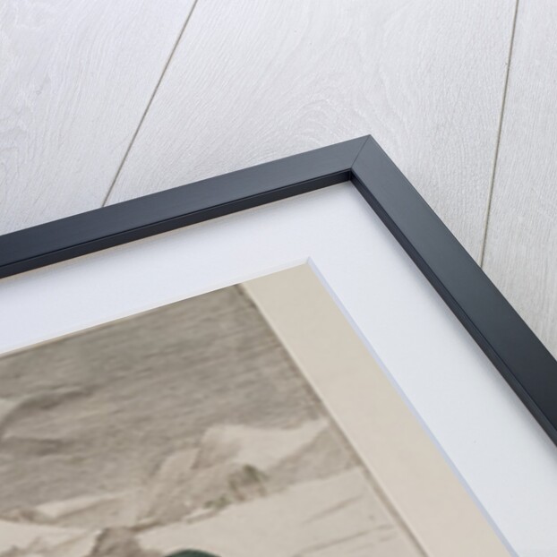 A sled in Siberia by Anonymous