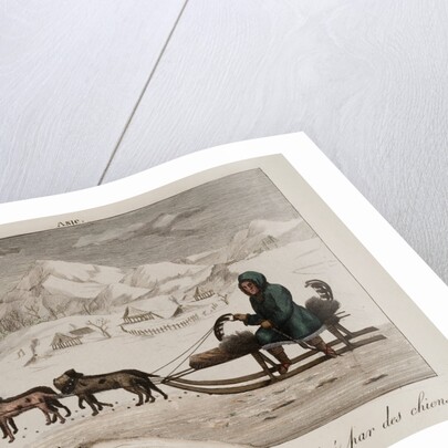 A sled in Siberia by Anonymous