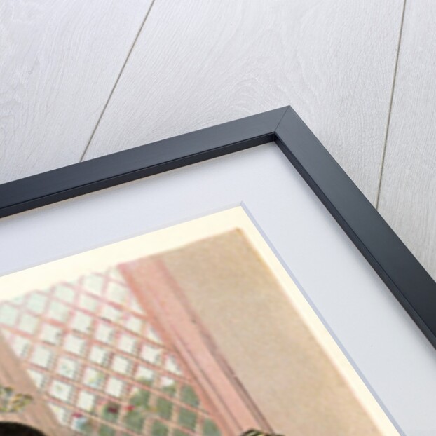 A Frog He Would A Wooing Go, Children's Book Illustration by Anonymous