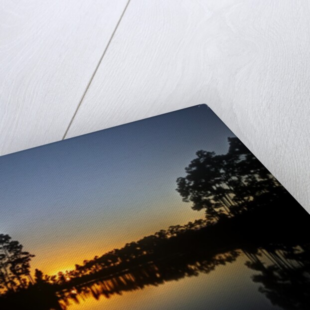 Sunset in Long Pine area of Everglades NP by Anonymous