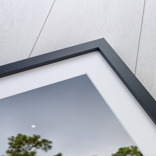 Pine Forest in Long Pine area of Everglades NP by Anonymous