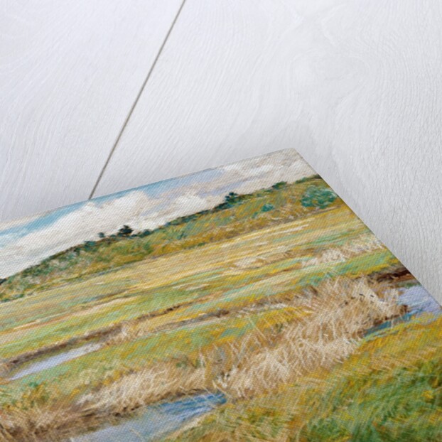 The Concord Meadow, Concord, Massachusetts by Childe Hassam