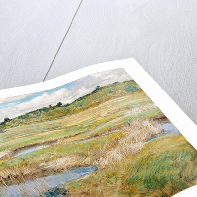 The Concord Meadow, Concord, Massachusetts by Childe Hassam