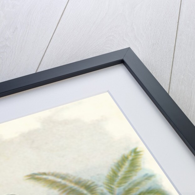 A Frog He Would A Wooing Go, Children's book Illustration by Anonymous