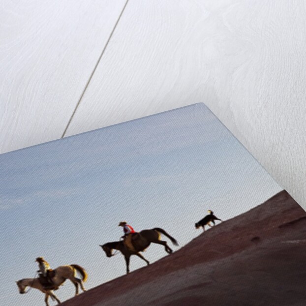 Cowgirls and dogs along the ridge of The Painted Hills by Anonymous