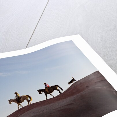 Cowgirls and dogs along the ridge of The Painted Hills by Anonymous