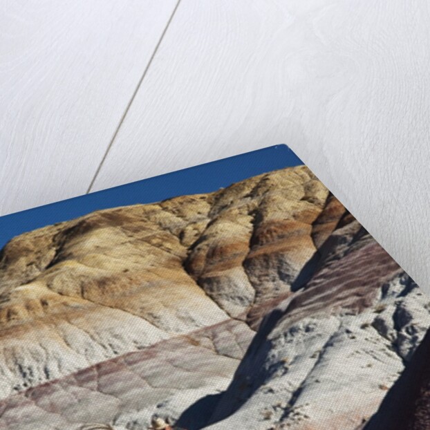 Cowboy in The Painted Hills by Anonymous