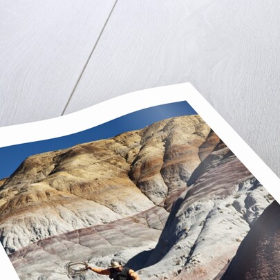 Cowboy in The Painted Hills by Anonymous