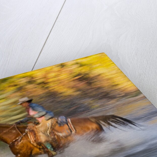 Cowgirl riding through river on a horse by Anonymous
