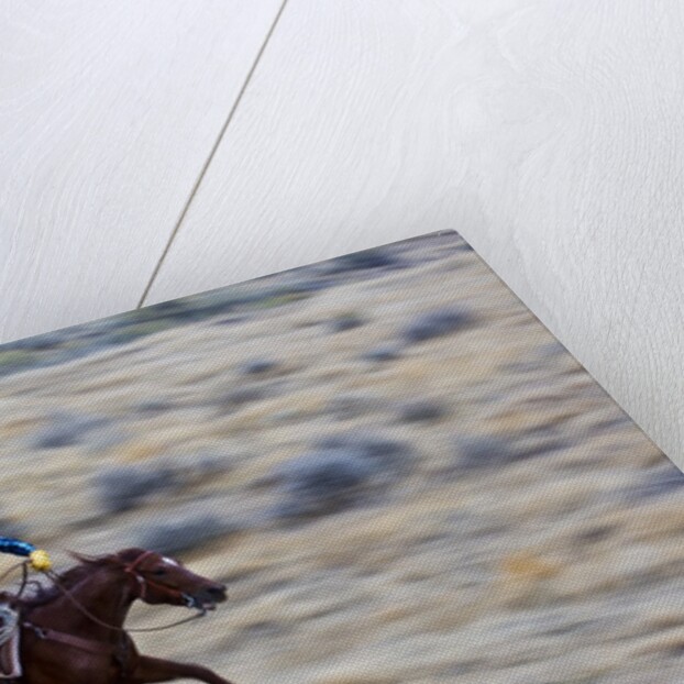 Cowboy riding the range by Anonymous