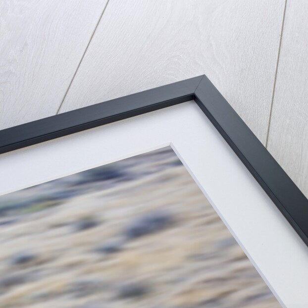 Cowboy riding the range by Anonymous