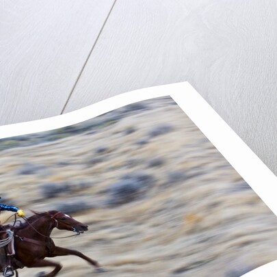 Cowboy riding the range by Anonymous