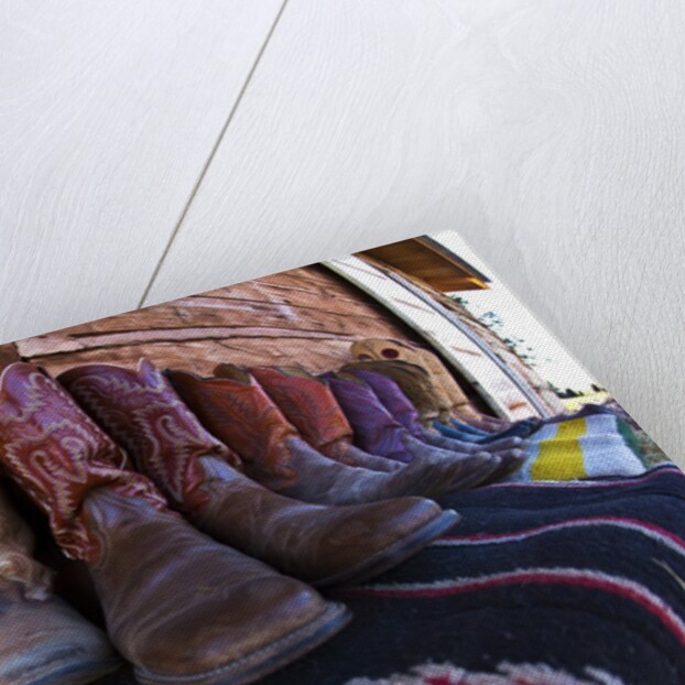 Boots and Blankets by Anonymous