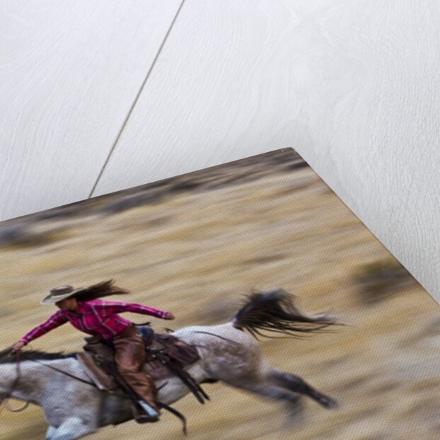 Cowgirl riding the range by Anonymous