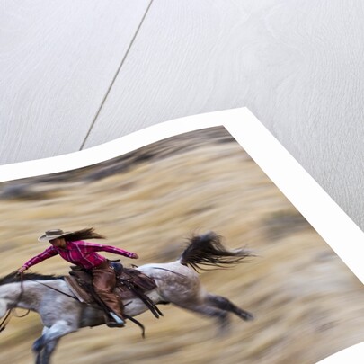 Cowgirl riding the range by Anonymous