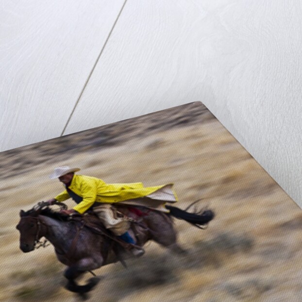 Cowboy riding the range by Anonymous