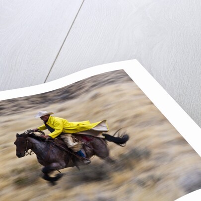 Cowboy riding the range by Anonymous