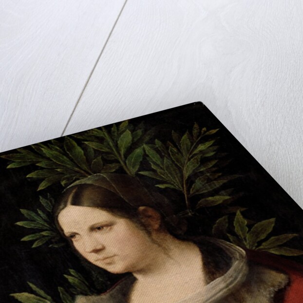 Young Woman (Laura) by Giorgione