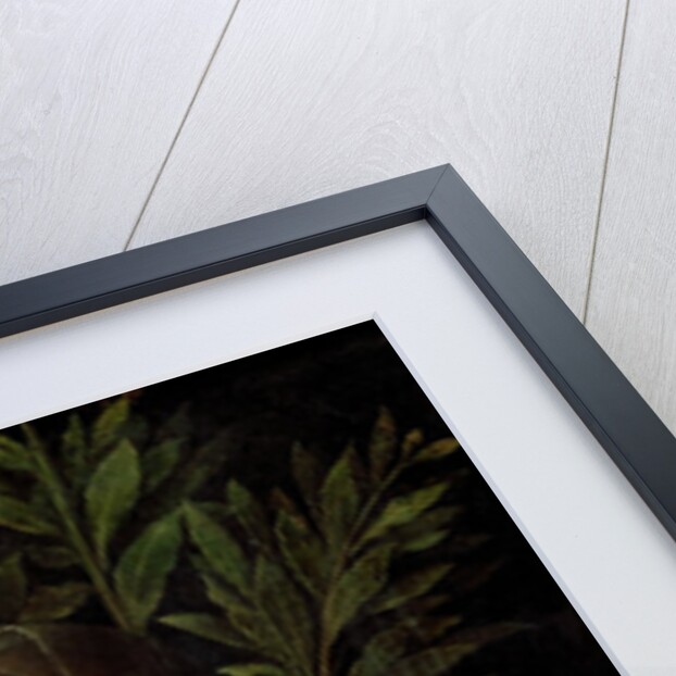 Young Woman (Laura) by Giorgione