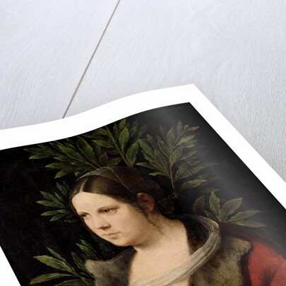 Young Woman (Laura) by Giorgione