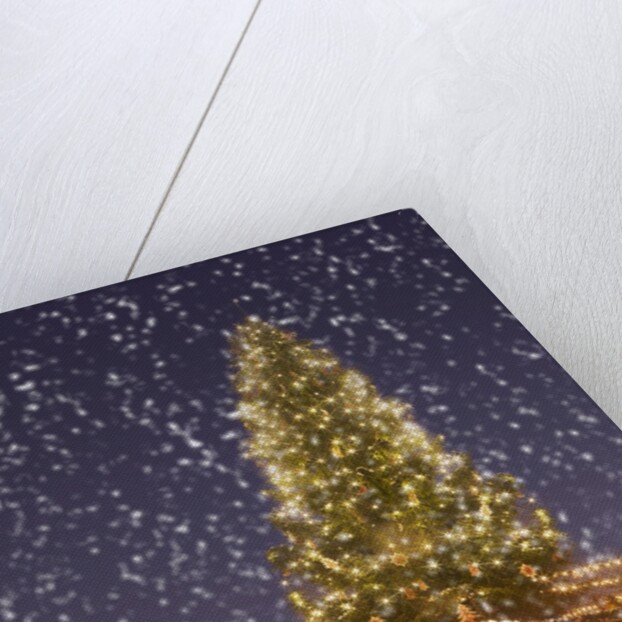 Christmas tree under snowfall by Anonymous