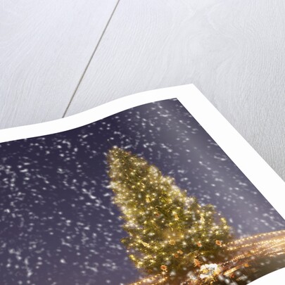 Christmas tree under snowfall by Anonymous
