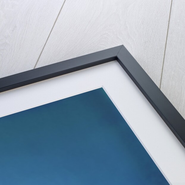 1960s Profile Of Seated Baby Shouting Yelling Speaking Into Big Megaphone by Anonymous