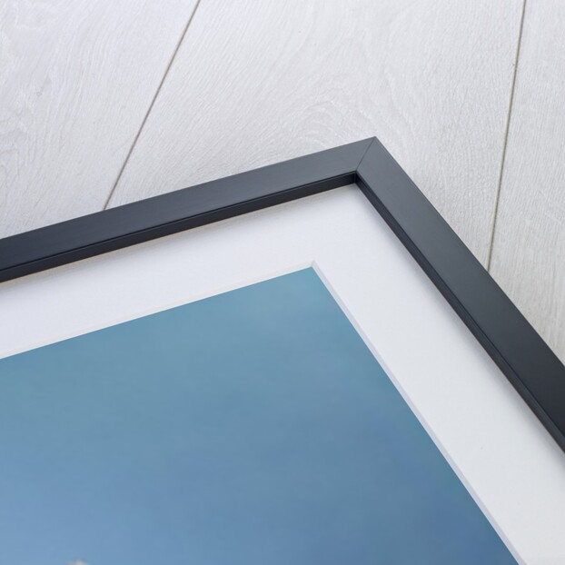 1960s Baby Dressed As Royal Queen Velvet Robe Cloak Cape Rhinestone Tiara Crown And Scepter Wand by Anonymous