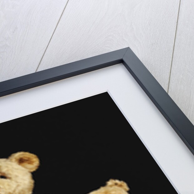 A selection of Teddy Bears by Anonymous