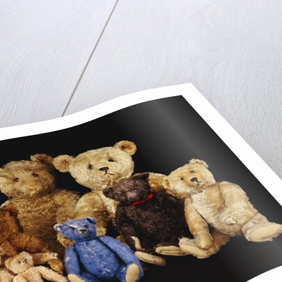 A selection of Teddy Bears by Anonymous