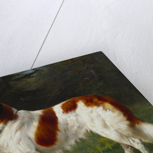 A St. Bernard on the Edge of a Wood by Heinrich Sperling