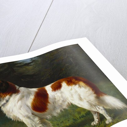 A St. Bernard on the Edge of a Wood by Heinrich Sperling