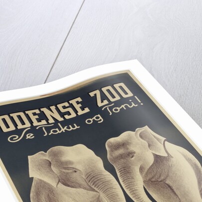 Odense Zoo poster by Anonymous