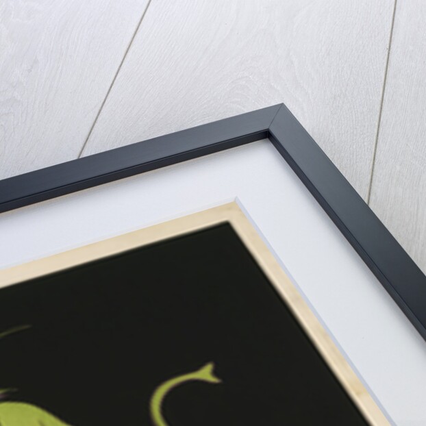 Maurin Quina poster by Leonetto Cappiello