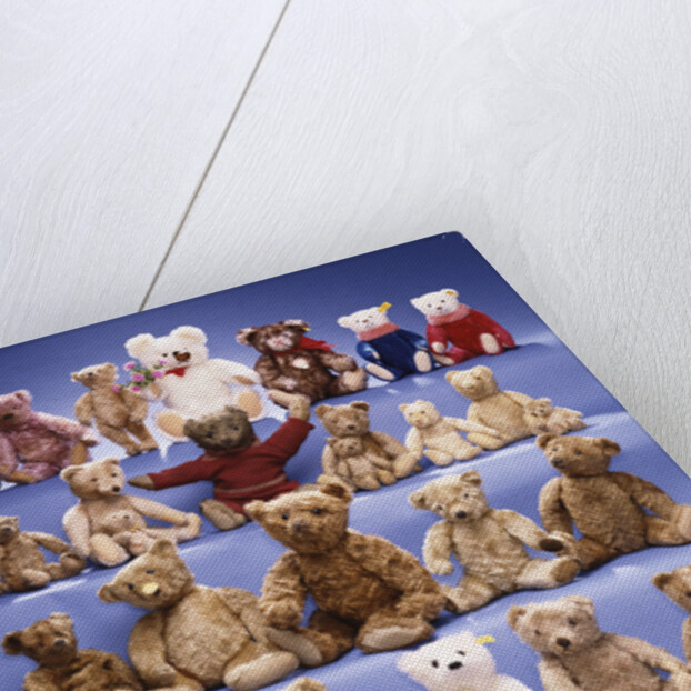 A collection of Steiff bears by Anonymous