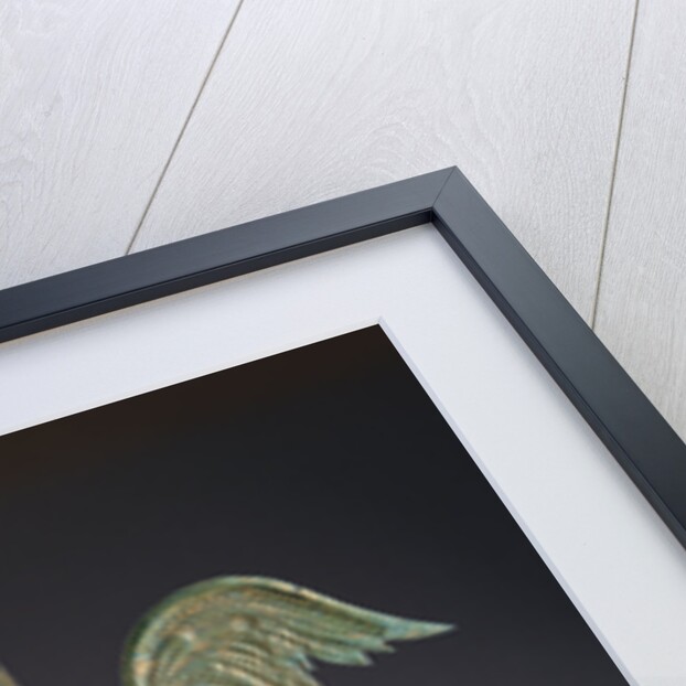 Fine feathered rooster and arrow weathervane by Anonymous