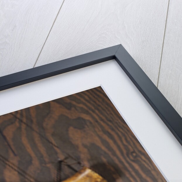 A collection of engraved powder horns by Anonymous