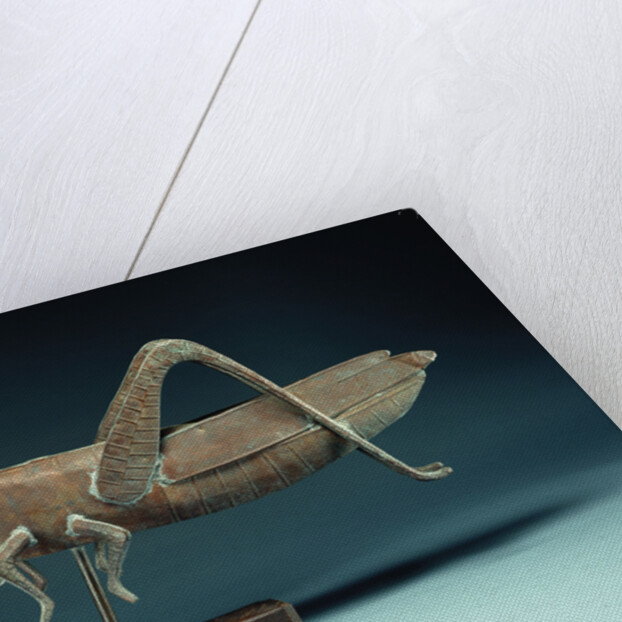 A grasshopper weathervane by Anonymous