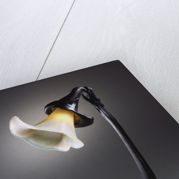 A rare wheel-carved glass and bronze table lamp by Anonymous