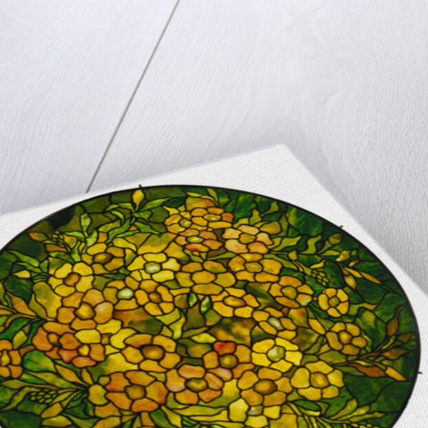 Tiffany Studios lighted shade of a fine alamander leaded glass and bronze vhandelier by Anonymous