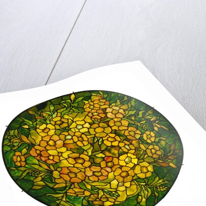 Tiffany Studios lighted shade of a fine alamander leaded glass and bronze vhandelier by Anonymous