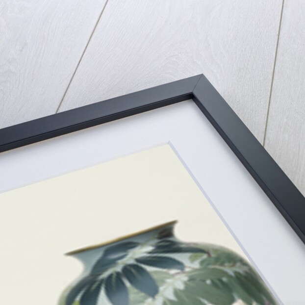 A pair of cloisonne baluster vases depicting wisteria by Anonymous