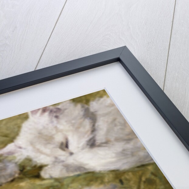 Studies of a Long-haired White Cat by Henriette Ronner-Knip