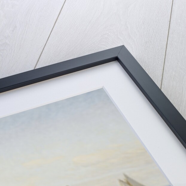 The Race by Axel Johansen