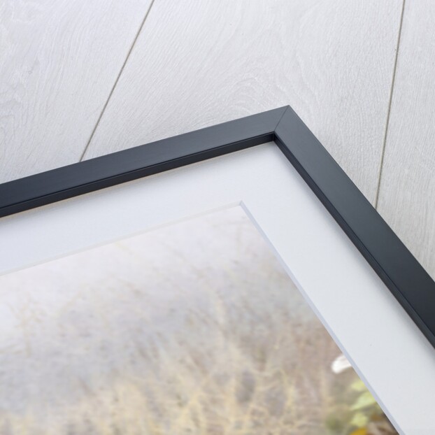 A Magpie Observing Fieldmice by Johan Gerard Keulemans